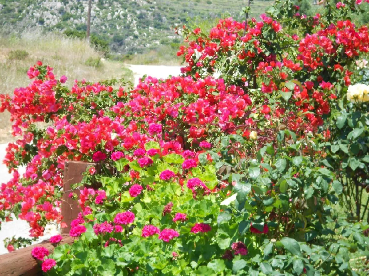 Livadaki Village Hotel Skala